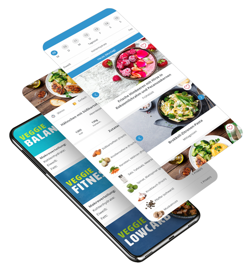 FoodPal GYM Key Features